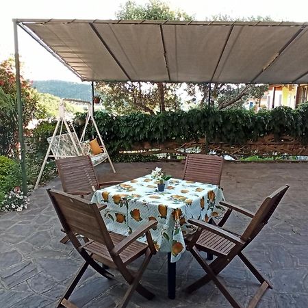 Il Glicine Cozy Appartamnent, Near Sestri Levante Between Cinque Terre E Portofino Casarza Ligure Exterior photo