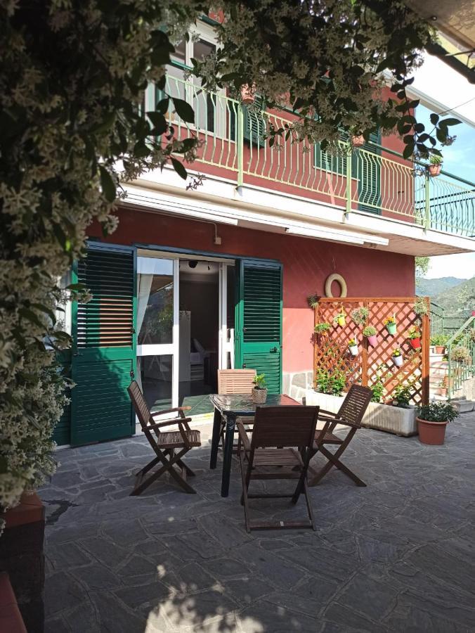 Il Glicine Cozy Appartamnent, Near Sestri Levante Between Cinque Terre E Portofino Casarza Ligure Exterior photo