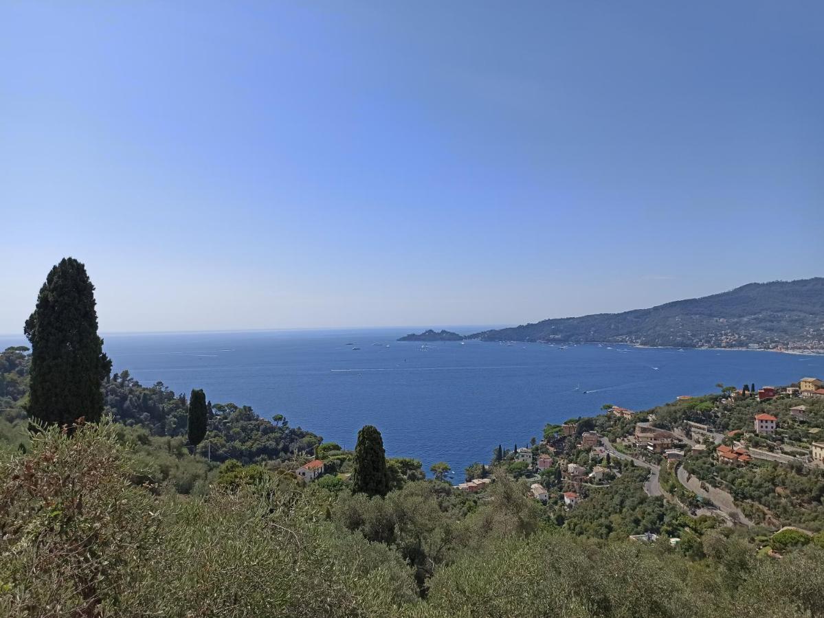 Il Glicine Cozy Appartamnent, Near Sestri Levante Between Cinque Terre E Portofino Casarza Ligure Exterior photo