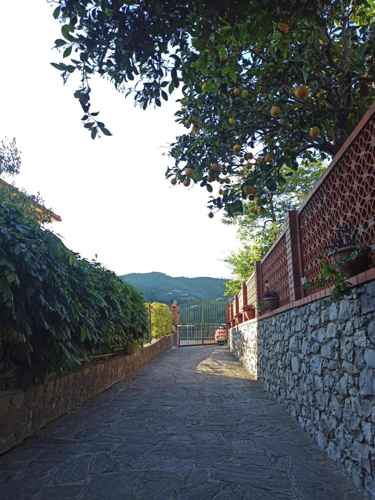 Il Glicine Cozy Appartamnent, Near Sestri Levante Between Cinque Terre E Portofino Casarza Ligure Exterior photo